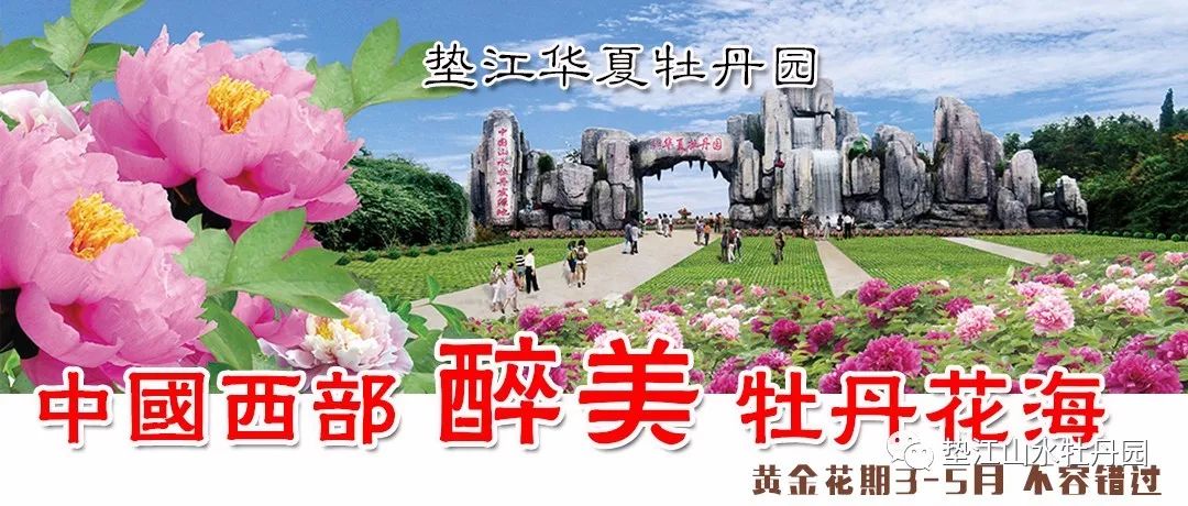 华夏牡丹园花情实时播报 垫江华夏牡丹园