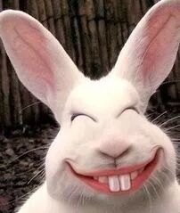 “兔兔”很可爱，但孩子有了兔牙，危害可不小！