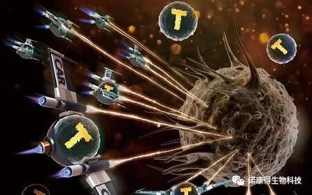 最新！美德宣布癌癥疫苗大獲成功，癌細(xì)胞已擴(kuò)散也可痊愈！