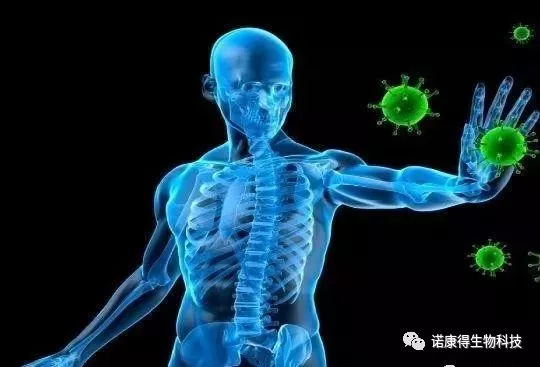 最新！美德宣布癌症疫苗大获成功，癌细胞已扩散也可痊愈！