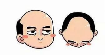 防脱洗发水哪种效果好？防脱发用它们就行！