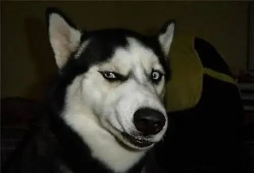 脱发中药配方？又到了一年一度脱发期，大家还好吗？