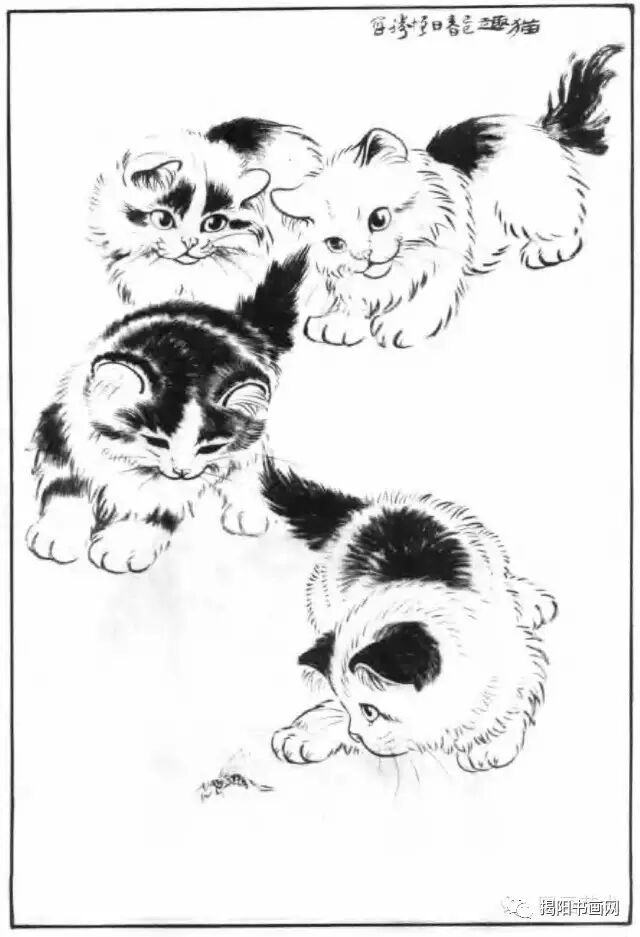 书画课堂画猫动态技法