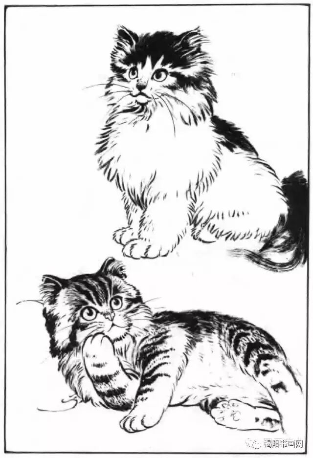 书画课堂画猫动态技法