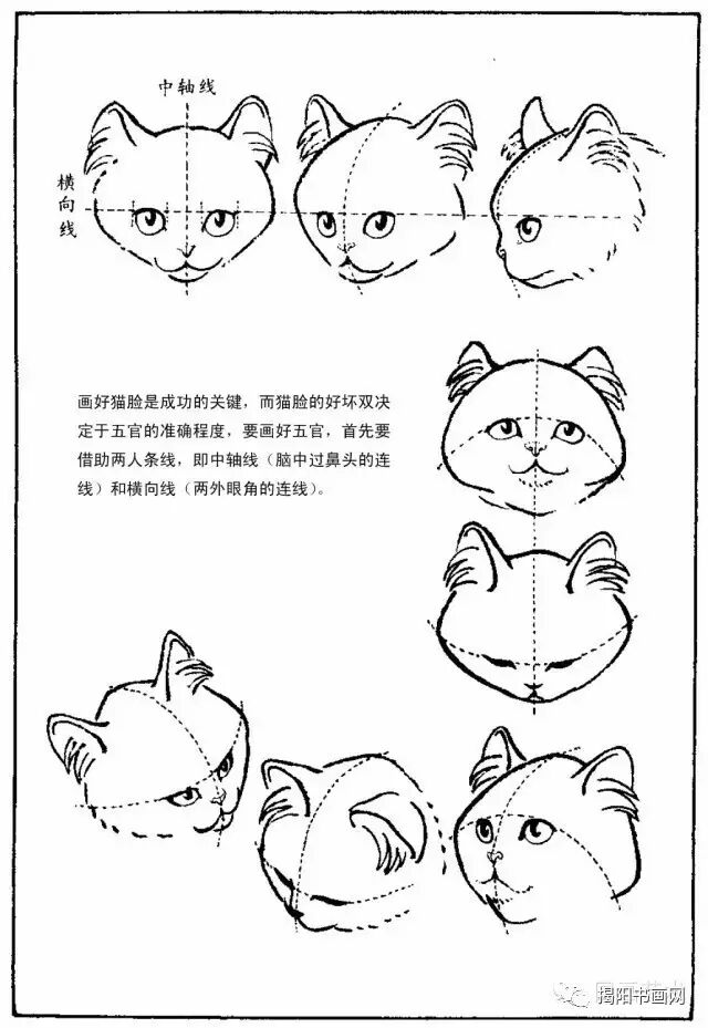 书画课堂画猫动态技法