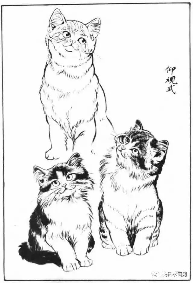 书画课堂画猫动态技法