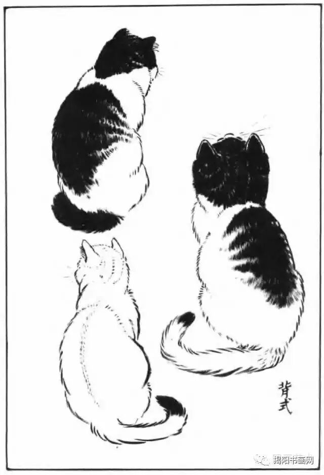 书画课堂画猫动态技法