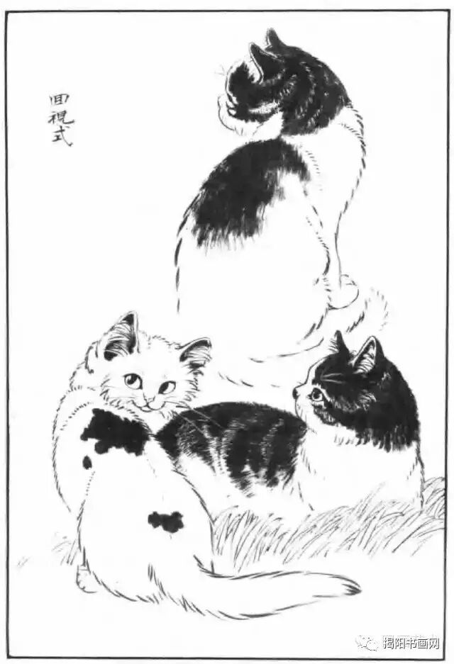 书画课堂画猫动态技法
