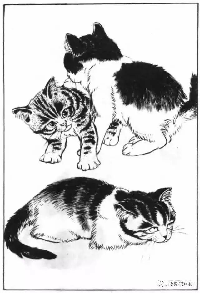 书画课堂画猫动态技法