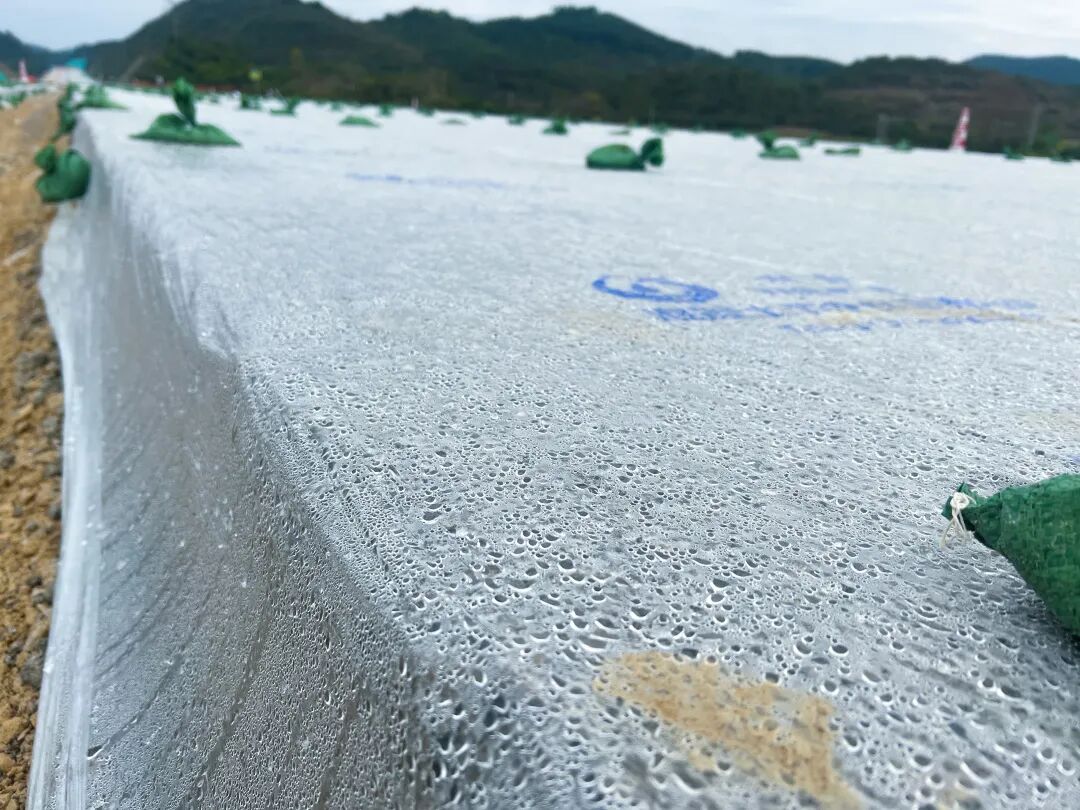 “锁住水分子” 小材料有大作为——崇爱高速推广应用水能量混凝土节水保湿养护膜