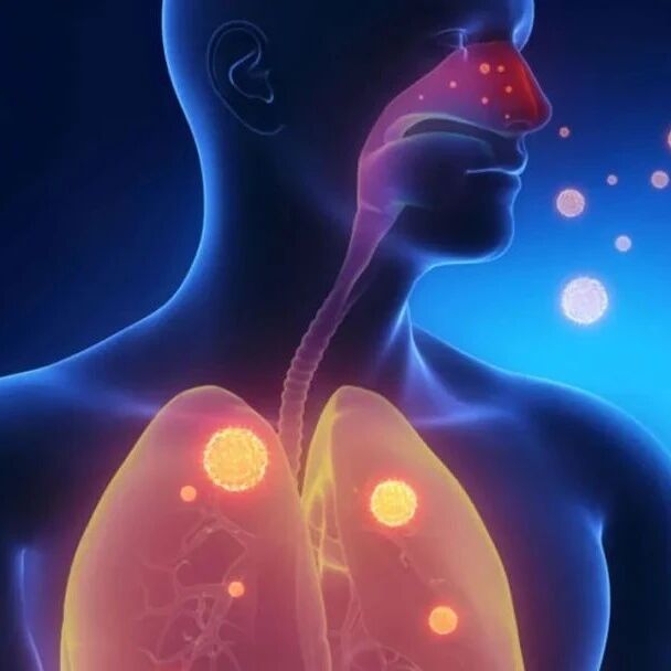 PPT档案馆｜晚期肺癌免疫治疗的临床实践问题