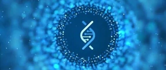 前言洞见 | 凌志强教授：这些标志物能否指引胃癌诊疗前行？