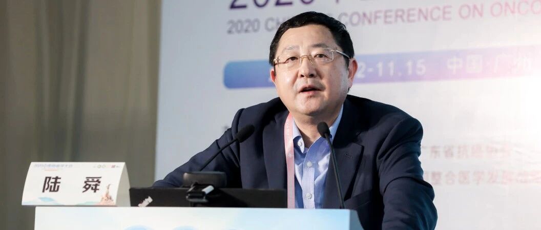 2020 CCO | 陆舜教授：中国肺癌领域年度进展
