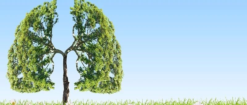 i Hope 学院 | 秦海峰教授：小细胞肺癌治疗进展盘点