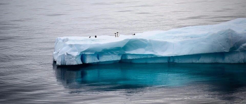 肿瘤微环境的事——没那么简单