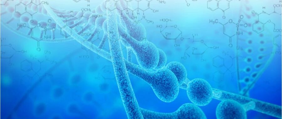 中国之声 | 奥拉帕利维持治疗或可成为亚洲铂类敏感复发性卵巢癌患者的治疗新选择