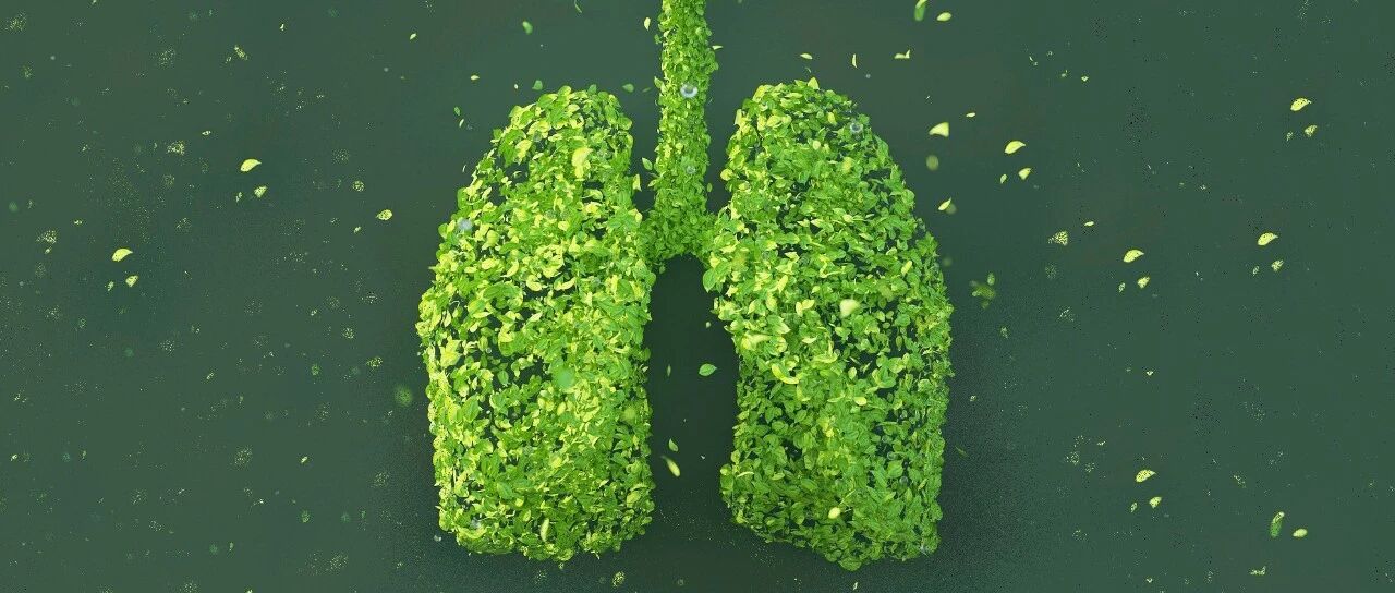 KRAS G12C突变NSCLC终于有靶向药了：sotorasib获批