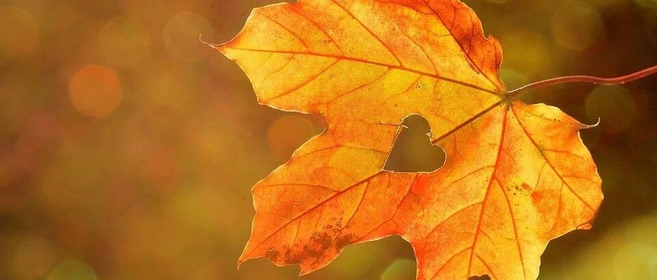 一文了解最危险的肿瘤急症：肿瘤溶解综合征！