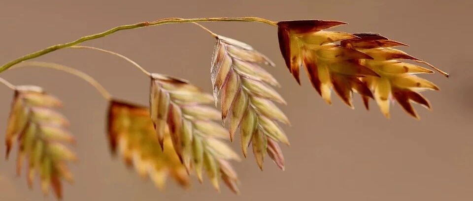 2020 ESMO ASIA | 消化道肿瘤重磅研究盘点