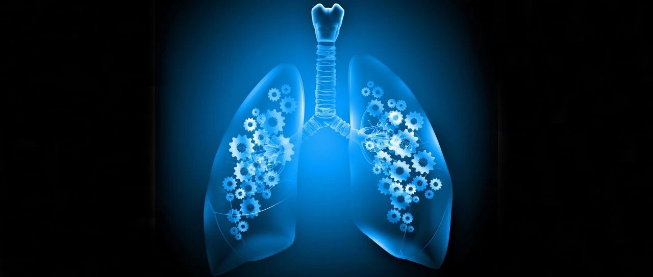 MET异常NSCLC高峰论坛盛大召开，奏响肺癌治疗新乐章
