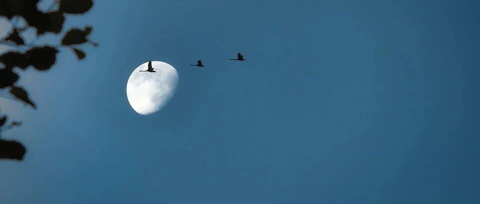 最新版NCCN食管和胃食管结合部腺癌：11大更新要点盘点