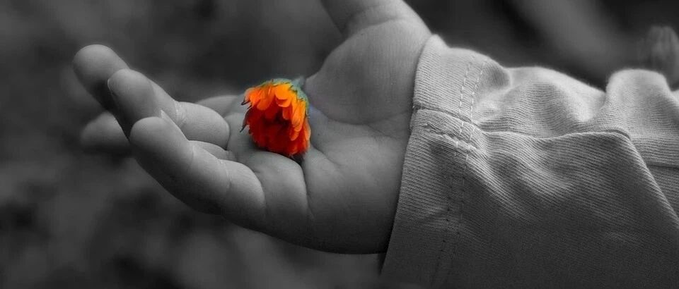 CRHA-COC | 王焕民教授：走进高危神经母细胞瘤的治疗