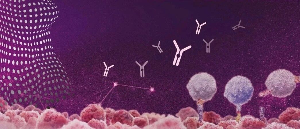 “氏”说新语，大咖解惑｜听王廷教授聊聊早期三阴性乳腺癌免疫治疗的最新进展