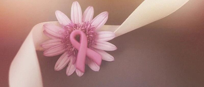 细数CDK4/6抑制剂的昨天、今天和明天