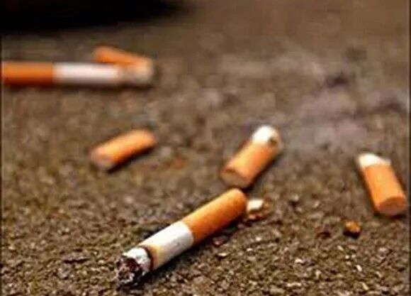 可以用来做亲子鉴定的样本，快来看看！