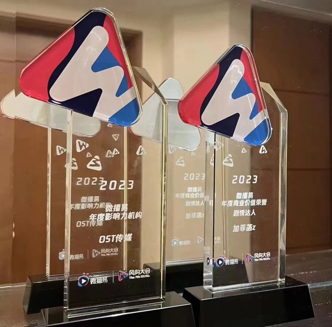 微播易风向大会 | OST传媒斩获年度影响力机构，@加菲菡 荣获 年度商业价值剧情达人第2张