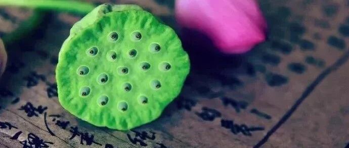 你是谁，就会遇见谁！（深刻）