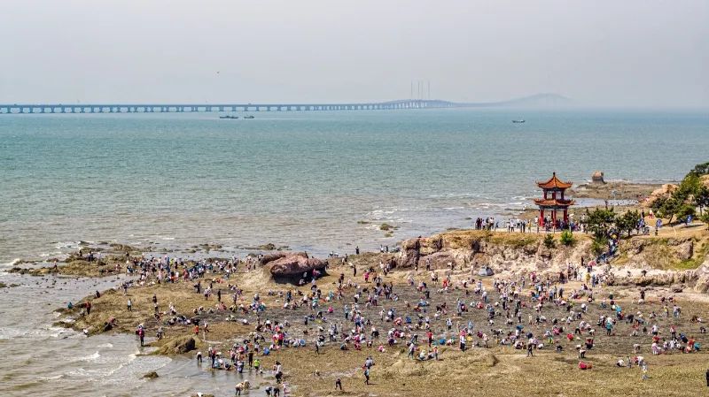 青島宣傳