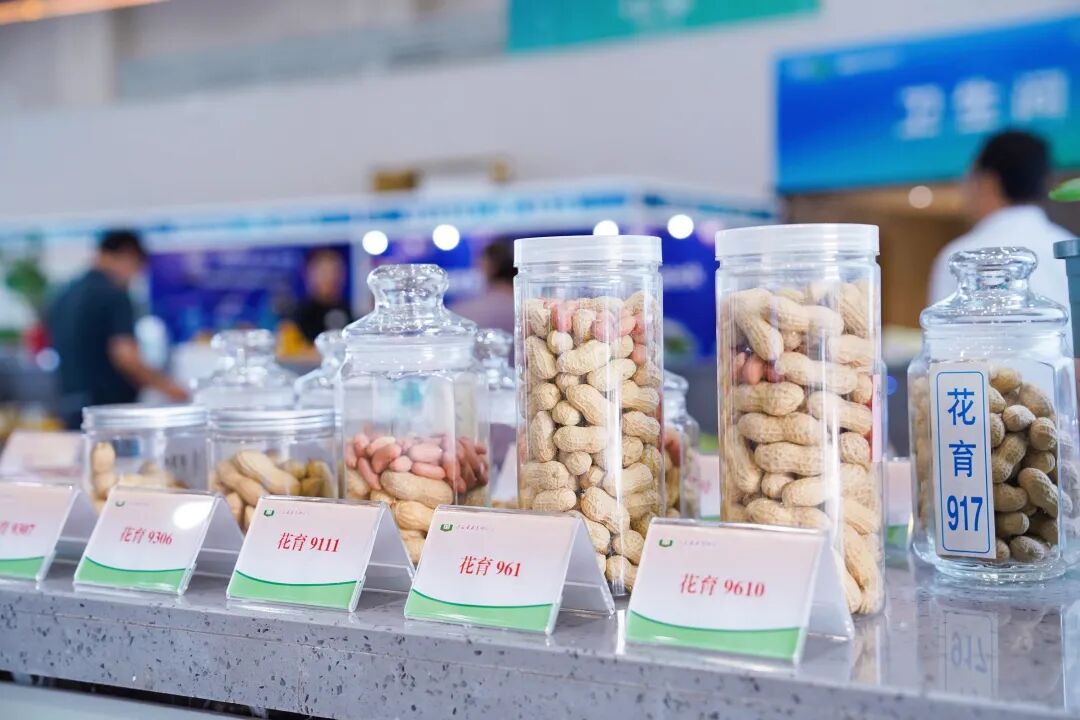 青岛宣传 | 一粒种子,何以拥有改变世界的力量