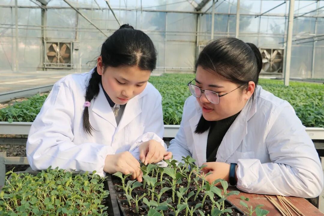 招生特刊①尚技篇园林技术景观设计专业介绍