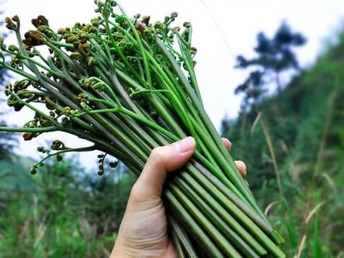 天然的「胰島素」找到了，手頭緊也要多吃4物，或助你遠離高血糖 健康 第4張