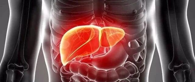 肝硬化传染吗？