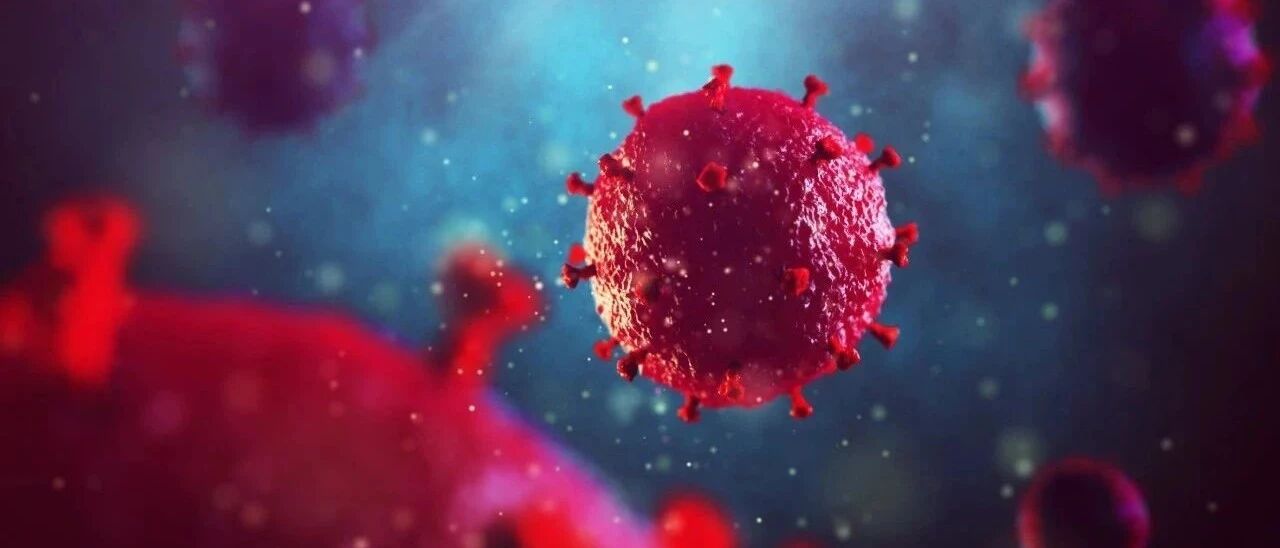 5地9市115人感染，15例病例感染来源尚待核实！大连发布第13号令