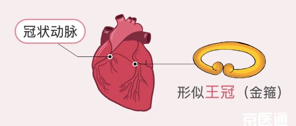 3亿人的血管为什么都“堵”了？10张图让你秒懂！