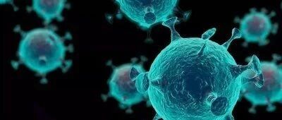 世卫组织：奥密克戎对这类人群“尤其危险”