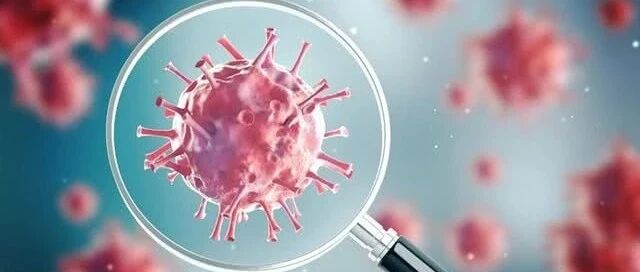 为武汉正名！世卫发布新冠溯源报告：华南海鲜市场不是疫情的发源地