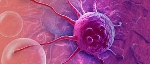 关于诺如病毒那些事儿，你都看懂了吗？