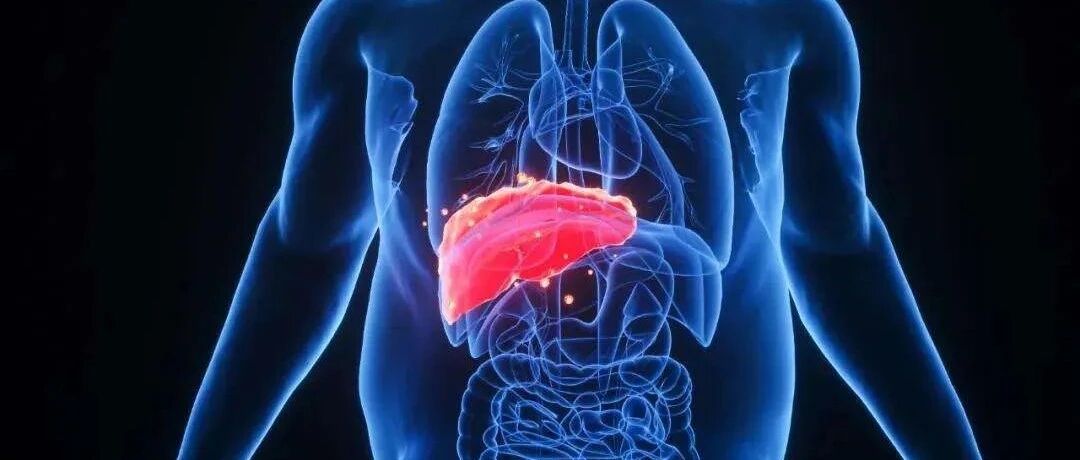 出现这几种情况，说明你已经被脂肪肝”盯上“了