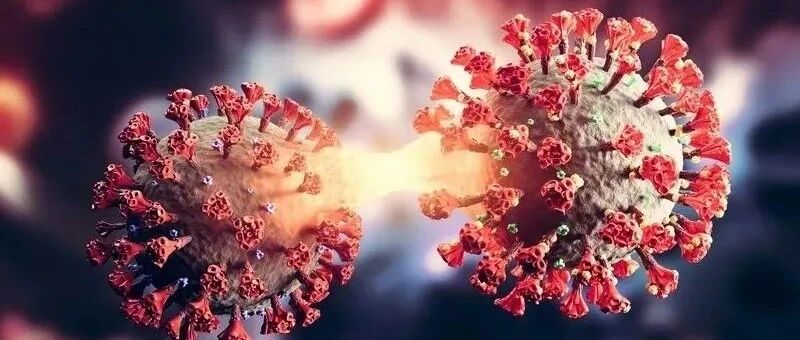 中国首篇经国际同行评议的疫苗加强接种对抗奥密克戎的数据公布：命运还掌握在人类手中