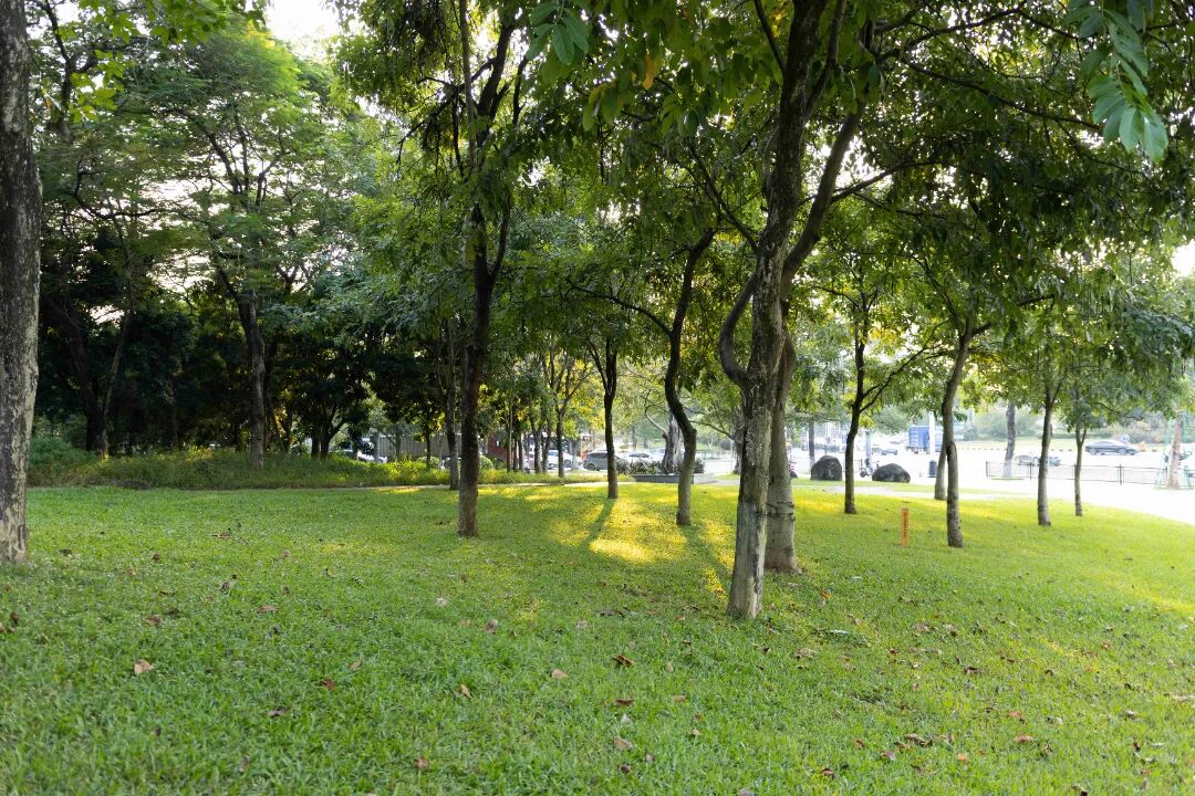 图源/广州黄埔发布