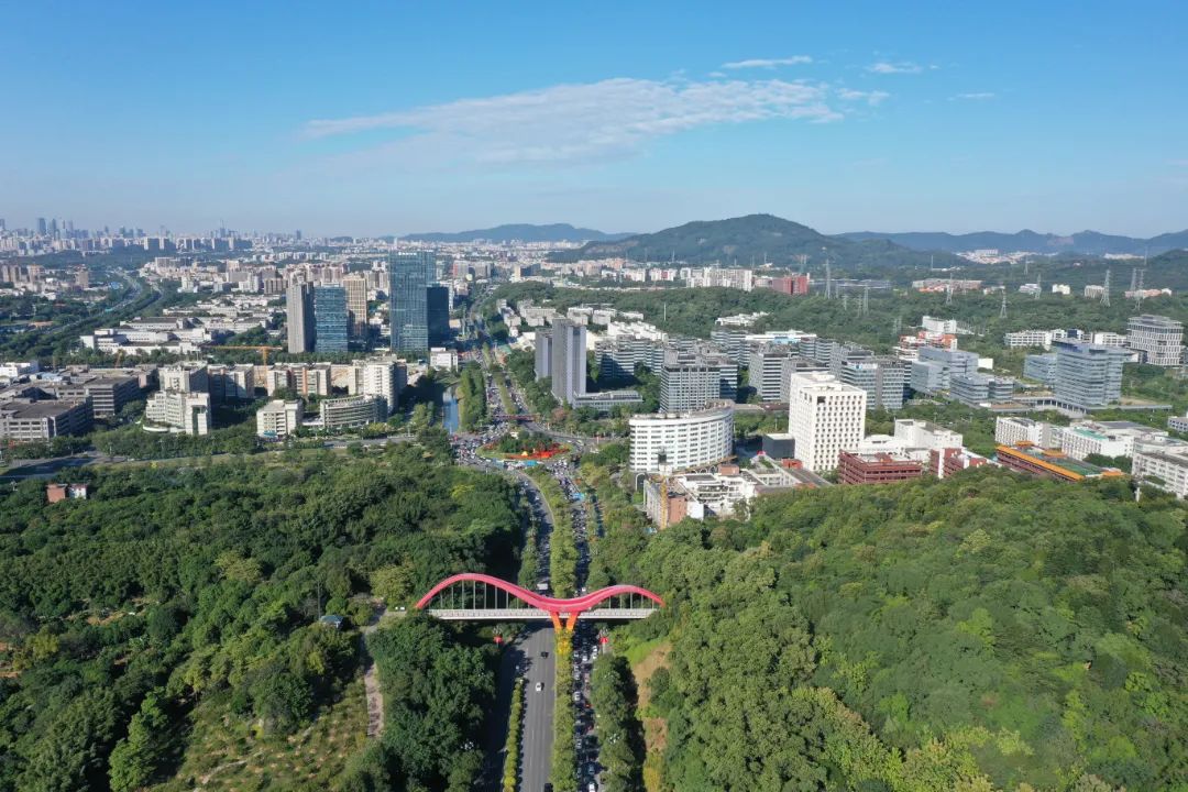 DJI_0702.JPG