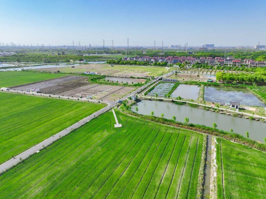 DJI_0619.jpg