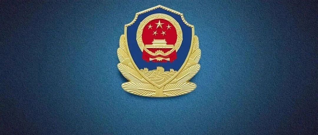新一轮打击防范文物犯罪专项行动取得阶段性显著成效
