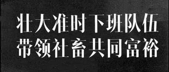 这些反加班文案，建议打印贴工位!