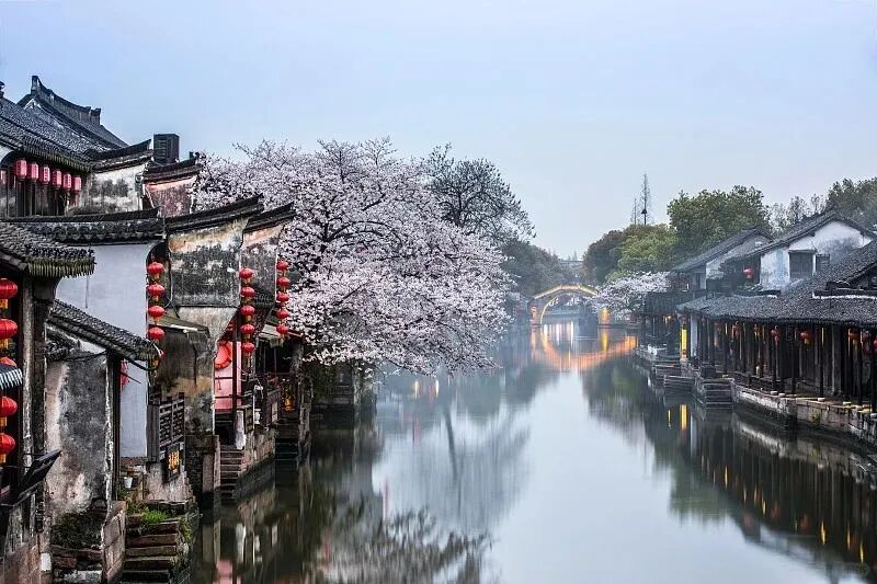 小羊.jpg