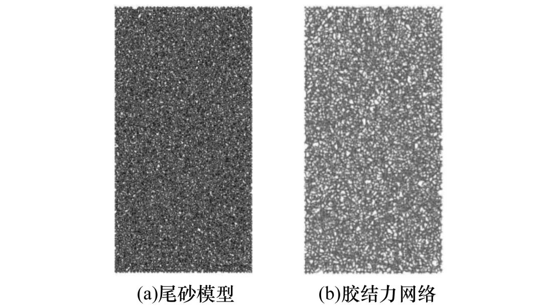 离散元对加固尾砂在干湿循环作用下的细观力学分析的图4